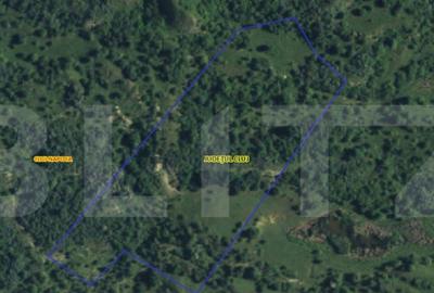 Teren extravilan 1,5 h pentru investitie - 6