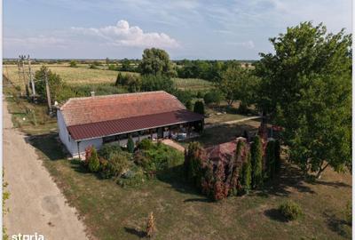 Spațiu comercial, de 1,000 mp, în Central - 3