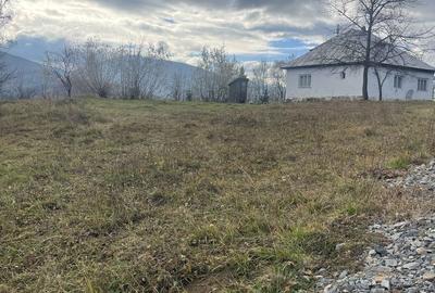 Spațiu comercial, în Băile Borșa - 8