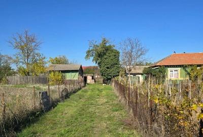 Se vinde casa  cu teren jud Teleorman - 2