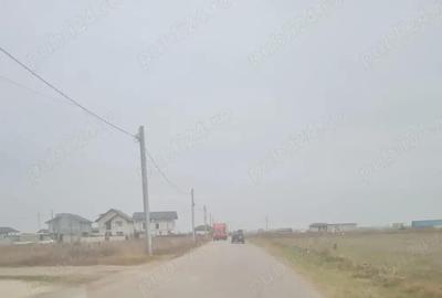 Vanzare Teren intravilan 5000mp Magurele - 4