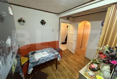 Apartament cu 3 camere semidecomandat în Gojdu - 11