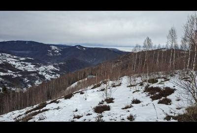 Spațiu comercial, în Muntele Rece - 3