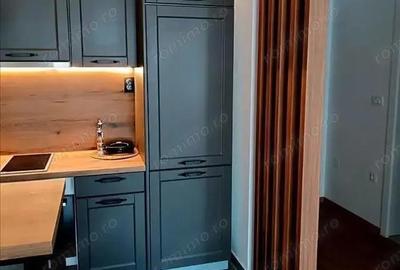 Apartament 2 camere de inchiriat in zona Drumul Taberei - 6