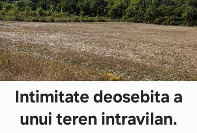 Spațiu comercial, în Sicrita - 3