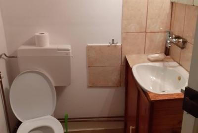 Cabana zona de deal în Apuseni - 9