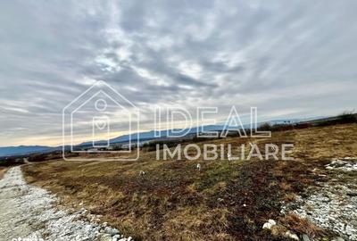 Spațiu comercial, în Mohu - 2