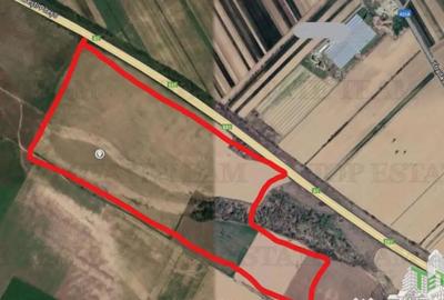 Teren de 219413 mp, în Florești - 1