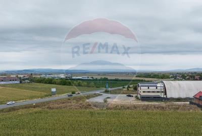 Teren Construcții intravilan de 440 mp, în Bunloc - 8