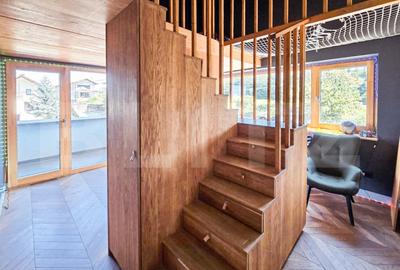 Vila  spectaculoasa de vanzare in Faget - 18