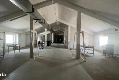 Spațiu comercial, de 700 mp, în Aradul Nou - 8