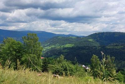 Teren de 2263 mp, în Horea - 6