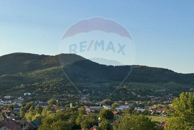 TEREN INTRAVILAN 2900 mp ȘIMLEU SILVANIEI/ Str. Corneliu Coposu/Sălaj - 9