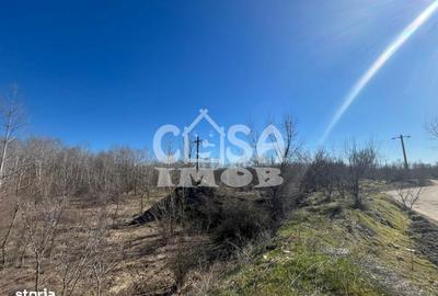 Teren de 6000 mp, în Petrești - 2