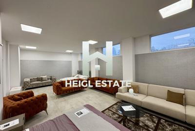 Spațiu comercial, de 470 mp, în Șagului - 6
