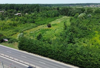 Teren de vanzare 8000 mp Calea Lugojului Timisoara