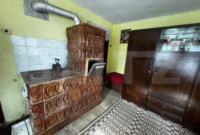 Proprietate cu 2 case, teren 2ha, zona Zlatna - Muntii Apuseni - 3