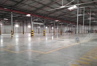 Hala clasa A, 10 incaperi, 10.766 mp, ISU, langa nod de auto - 1