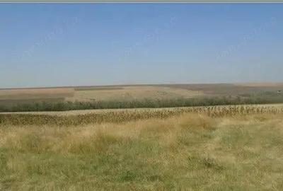 Teren Extravilan cota parte 1/4, Varlezi, ID: R2730256 - 4