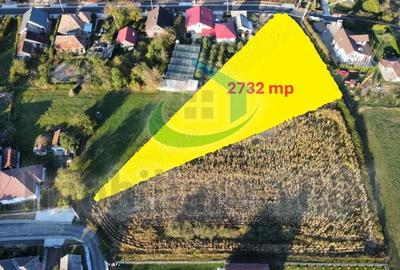 Teren de 2732 mp, în Șomcuta Mare - 4