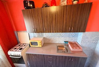 Apartament cu 2 camere semidecomandat, mobilat în Lipovei - 12