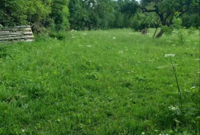 Teren de 1878 mp, în Călata - 2