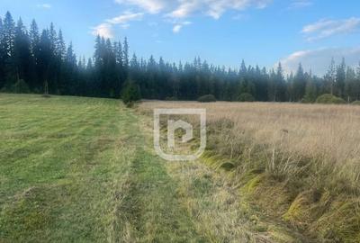 Teren intravilan Poiana Stampei ???? - 2