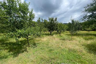 Casă individuală cu 3 camere cu Canalizare în Pianu de Sus - 13