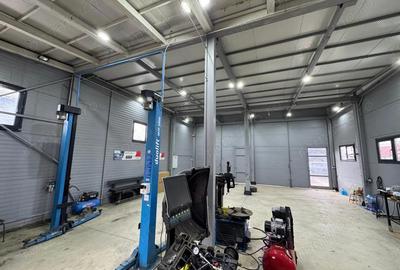 Depozitelor- Vanzare spatiu comercial + teren + hala - Str. Caminului - 2