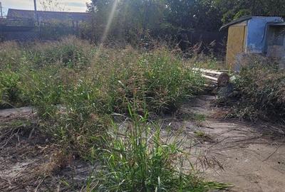 UNICAT! CASA CU TEREN 900MP ZONA COICIU - 2