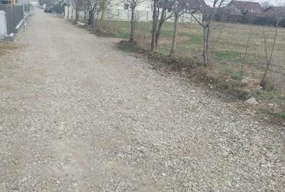 Teren de 1600 mp, în Central - 4