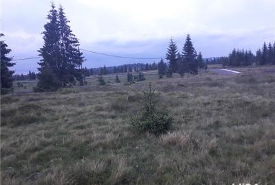 Teren în Beliș - 2