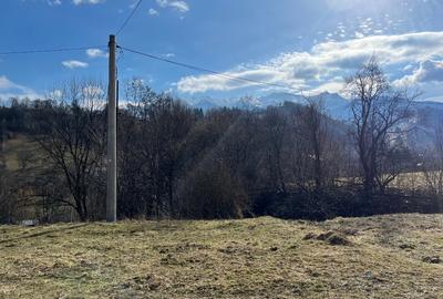 Teren intravilan 2.881 mp Șimon - Vedere panoramică Bucegi - Utilități incluse - 9