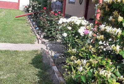 Casă cu 2 camere în Central - 3