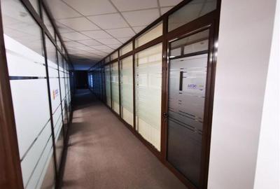 Spatii birouri in Iridex Business Center - de la 47 mp - 3
