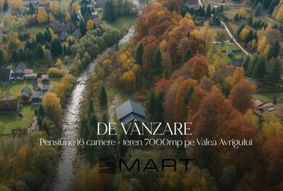 Casă individuală cu 17 camere cu Teren 7000 Mp în Avrig - 1