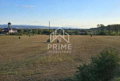 Teren de 10200 mp, în Central