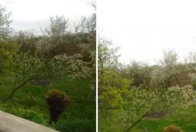 Teren extravilan livada cota parte 1/2 Candesti ID: R1965236 - 2