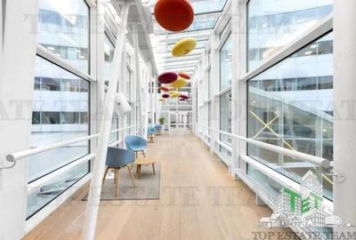 Spatiu de Birouri de 300 mp in Zona Universitate - 4