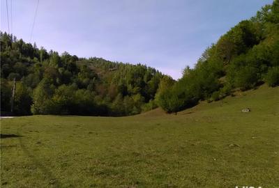 Teren de 5500 mp, în Pietroasa - 6
