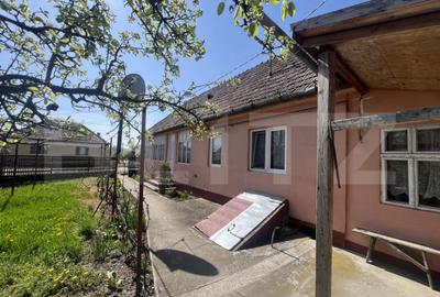 Casă cu 3 camere cu Teren 1263 Mp în Dileu Nou - 6