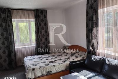 Casă cu 3 camere cu Teren 3000 Mp în Tămășeu - 4