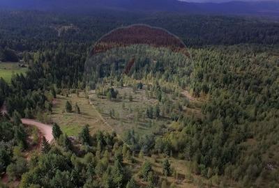 Teren extravilan parcelabil Calatele Padure, zona Dealu Negru - 13