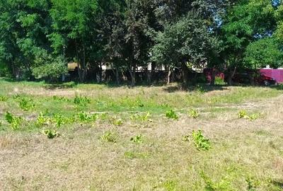 Teren de 3600 mp, în Gura Văii - 6