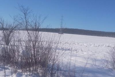 Teren de 500 mp, în Pestișu Mic - 2