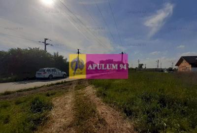 Teren construcție casă - 1 Decembrie - Zona Metropolitană București Teren construcție casă - 1 Decembrie - Zona Metropolitană București - 22