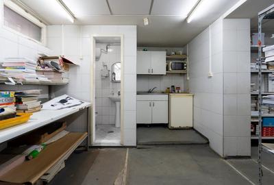 Casă individuală cu 9 camere cu Canalizare în Pache Protopopescu - 28