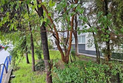 Apartament 2 camere, decomandat, vis a vis de parcul Tineretului - 17