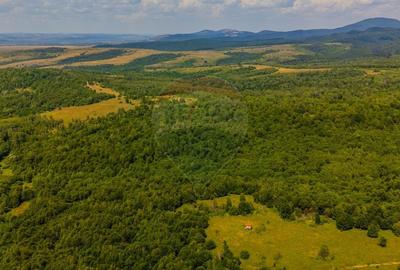 COMISION 0% Teren 1020mp / Intravilan/PUZ/ Grid - 7