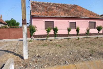 Casă cu 4 camere cu Teren 2877 Mp în Breștea - 1